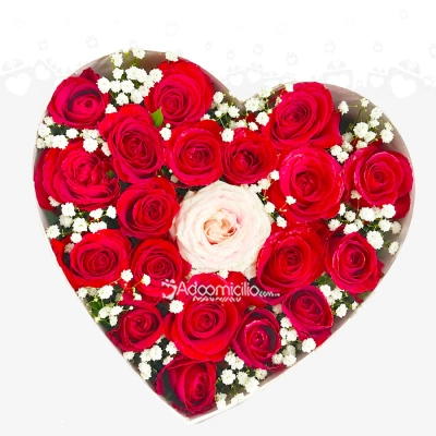 Regalos San Valentin Cali Caja Corazón X20 Rosas