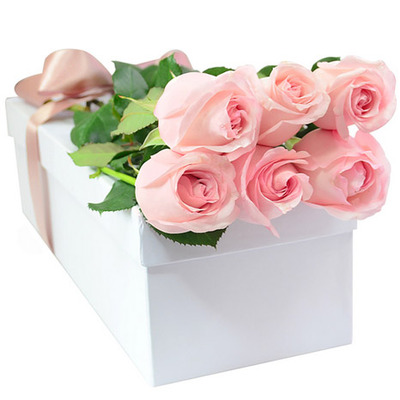 Cajas de Rosas