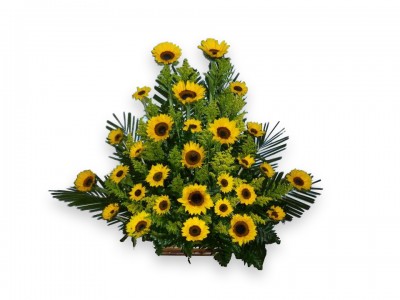 Pasión De Girasoles