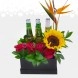 Regalo Para Papá Con Cervezas A Domicilio Medellín 