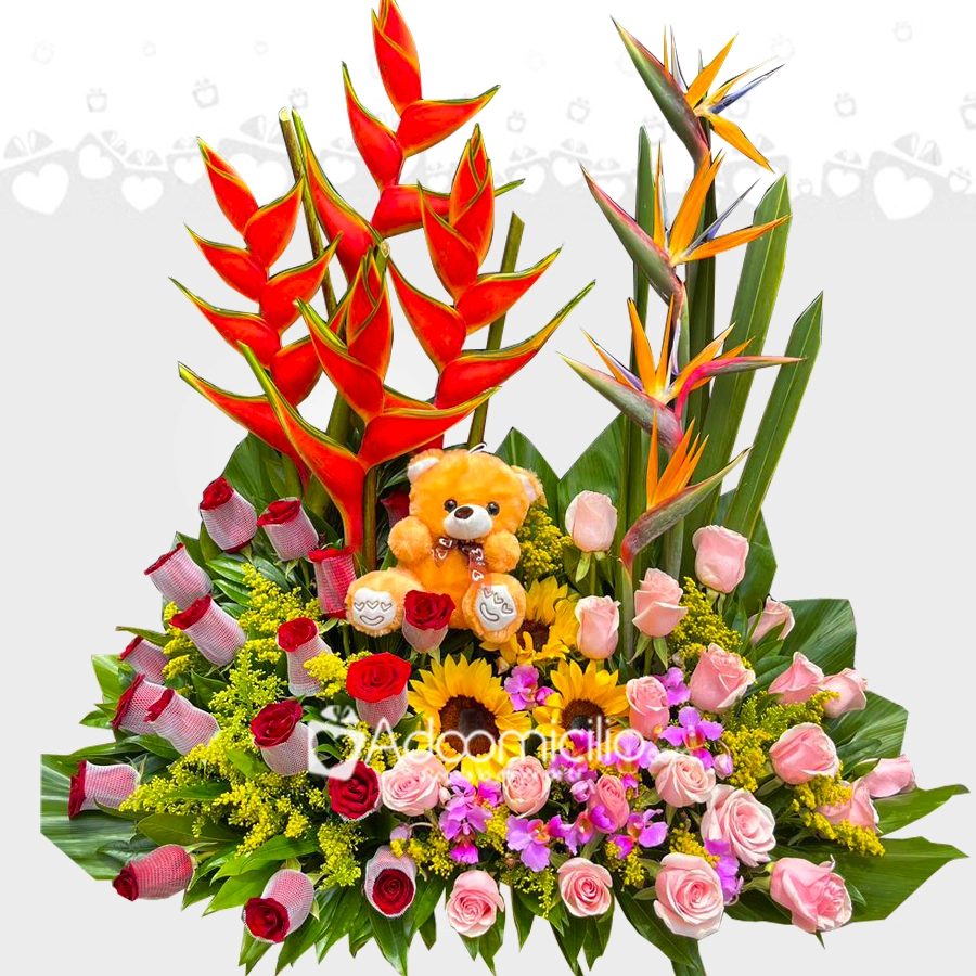 DISEÑO JARDIN No 9