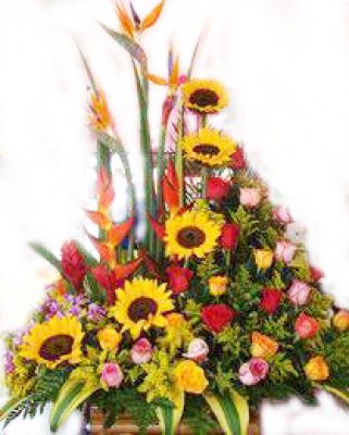 DISEÑO JARDIN No 12