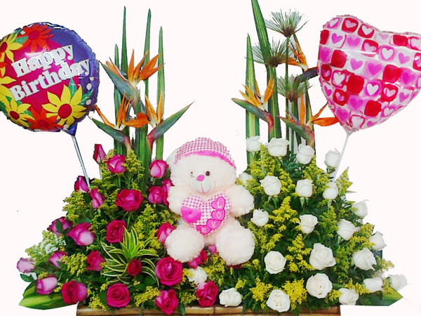 Arreglo  Enorme Felicidad