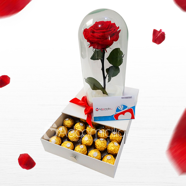 Hermoso Rosa Preservada Con Chocolates Regalos A Domicilio En Cali