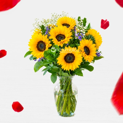 Girasoles Para Amor Y Amistad A Domicilio En Bucaramanga Pedido Con Un Día De Anticipación