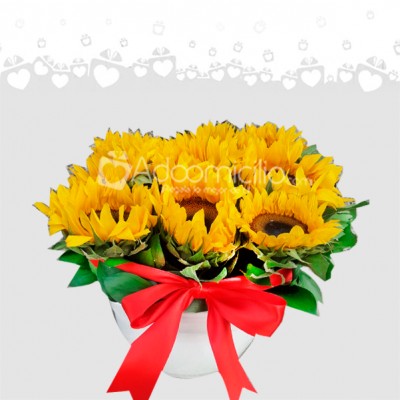 Caja De Girasoles x 9 Unidades Para Mamá A Domicilio En Cali