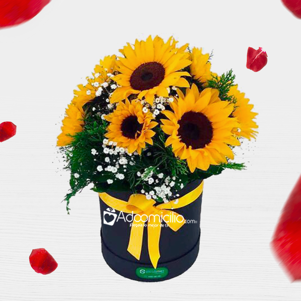Arreglo De Girasoles Para San Valentín A Domicilio En Medellín 