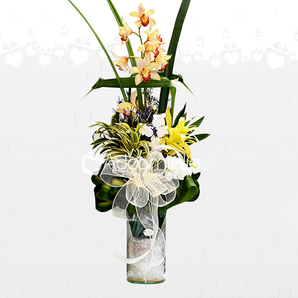 Orquídeas Para Regalar Arreglo Floral A Domicilio En Medellin