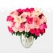 Regalos De Amor Arreglos Florales En Barranquilla A Domicilio