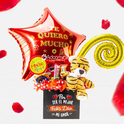 Regalo Con Peluche Para San Valentín A Domicilio En CDMX Pedido Con Un Día De Anticipación 