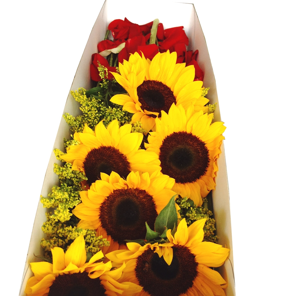 Caja De Girasoles A Domicilio En Cali