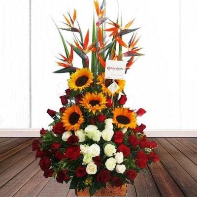 Girasoles Y Rosas A Domicilio En Cali 